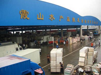 讓天下沒(méi)有難賣的魚(yú)蝦！探秘中國(guó)主要水產(chǎn)品批發(fā)市場(chǎng)